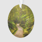 Forest | Into Forest (devant)