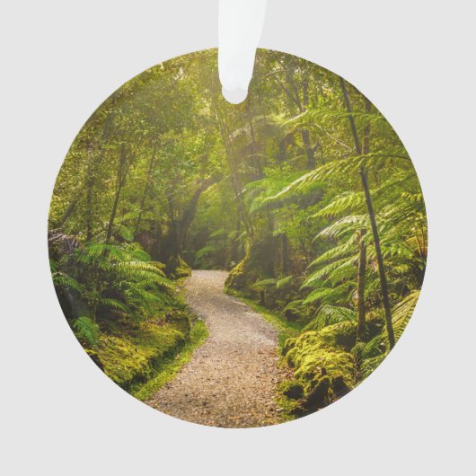 Forest | Into Forest (devant)