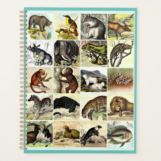 Forest, Jungle And Ocean Animal Collage sheet Art (Devant)