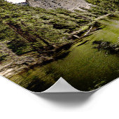 Forest Lake Poster (Hoek)