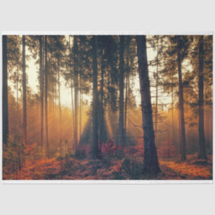 Forest Landscape 18 Decoupage Tissue Paper Tissuepapier