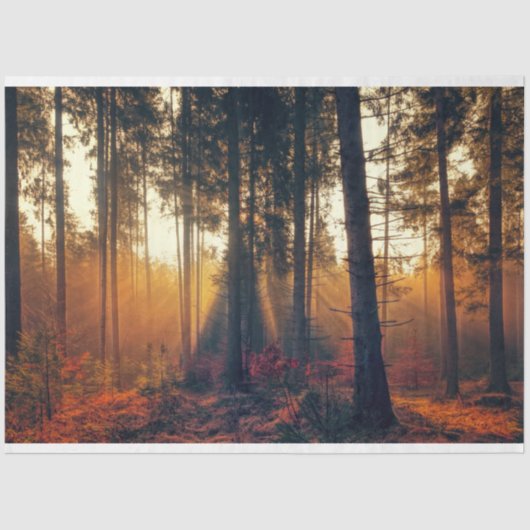 Forest Landscape 18 Decoupage Tissue Paper Tissuepapier (Voorkant)