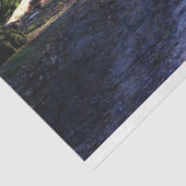 Forest Landscape Trail 24 Decoupage Tissue Paper Tissuepapier (Detail)