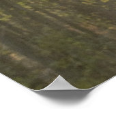 Forest Light Poster (Hoek)