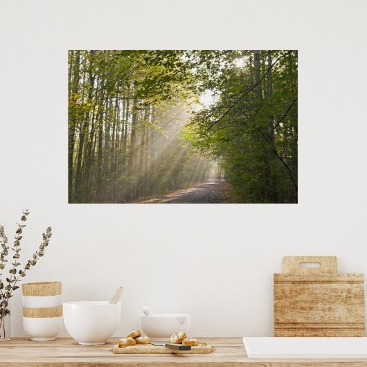 Forest Light Poster (Keuken)