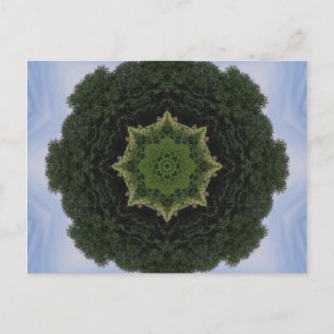 Forest Mandala Briefkaart
