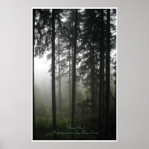 "FOREST MIST" Wilderness Forest Photo Print