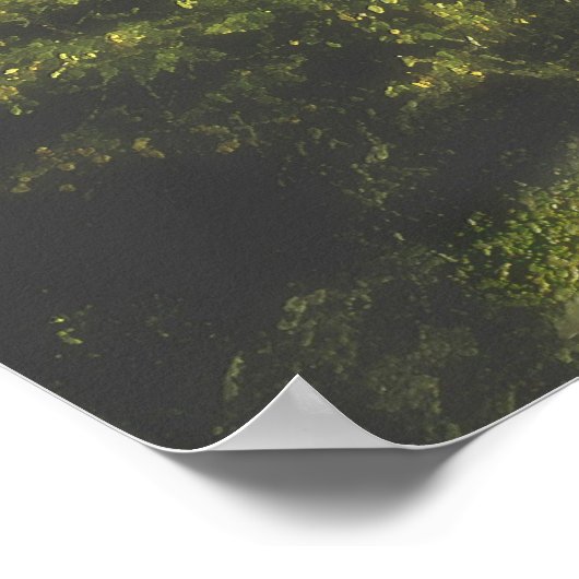 Forest Moon Poster (Hoek)