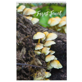 Forest Mushrooms Calendar Kalender