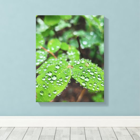 Forest Nature Canvas Afdruk (Insitu (Houten vloer))