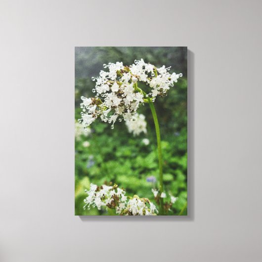 Forest Nature Canvas Afdruk (Voorkant)