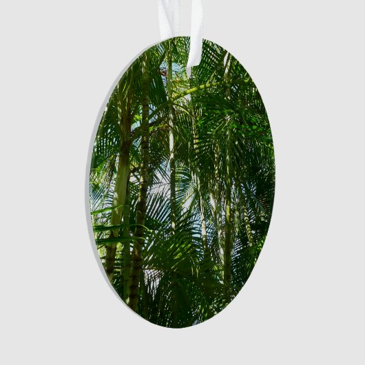 Forest of Palm Trees Tropical Nature (devant)