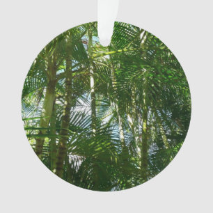 Forest of Palm Trees Tropical Nature