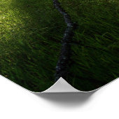 "Forest of Shadows" Poster (Hoek)