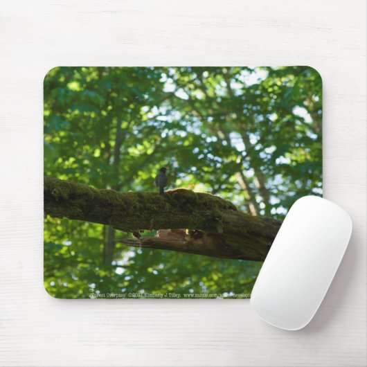 Forest Overpass Mousepad Muismat (Met muis)