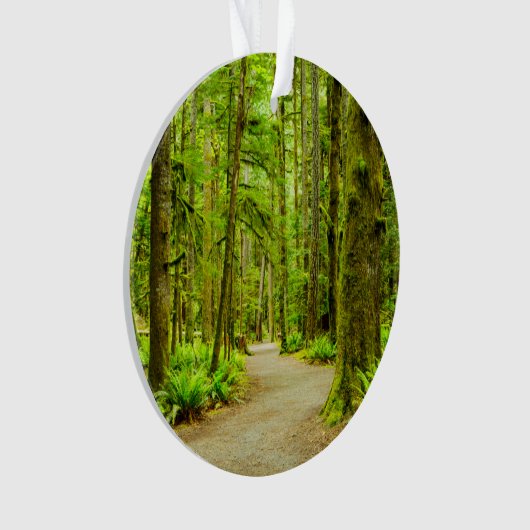 Forest | Parc national olympic (devant)