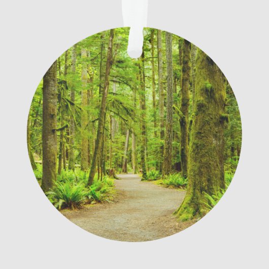 Forest | Parc national olympic (dos)