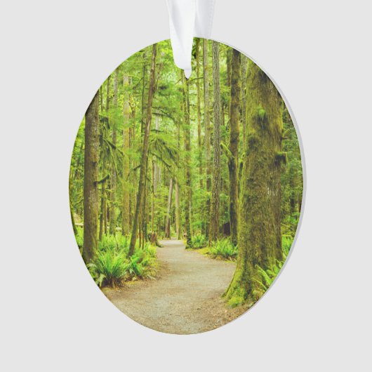 Forest | Parc national olympic (devant)