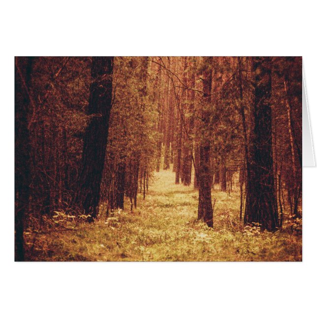 Forest Path... (Devant horizontal)