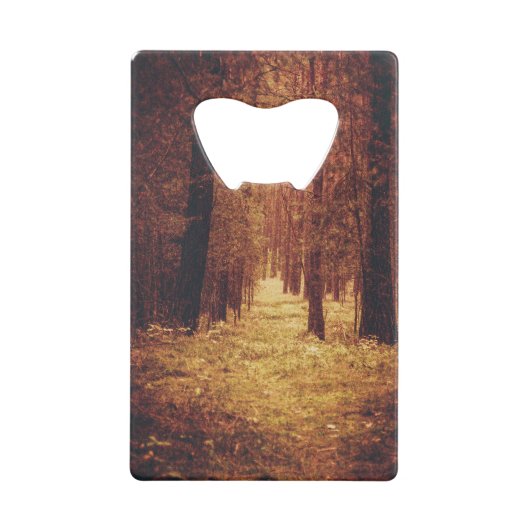 Forest Path... (Dos)