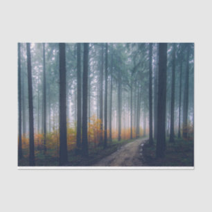 Forest Path 21-deduplicatiedocument Tissuepapier