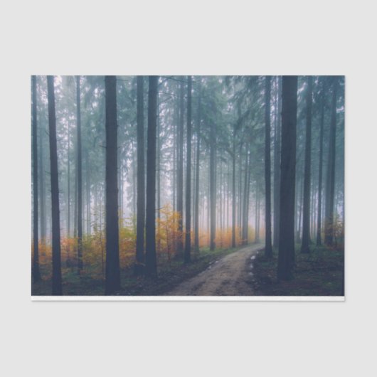 Forest Path 21-deduplicatiedocument Tissuepapier (Voorkant)