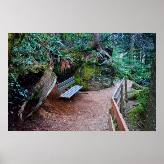 Forest Path Bench Print (Voorkant)