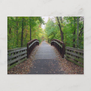 Forest Path Briefkaart