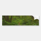 FOREST PATH-Bumpersticker Bumpersticker (Voorkant)