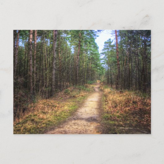 Forest Path HDR Art briefkaart (Voorkant)