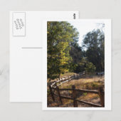 Forest Pathway Briefkaart (Voorkant / Achterkant)