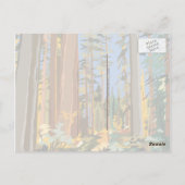Forest Reserve Briefkaart (Achterkant)