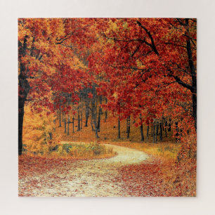 Forest Road - Autumn - Beauful Season Legpuzzel