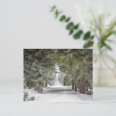 Forest Road Snow Pine Trees Foto Briefkaart (Staand voorkant)