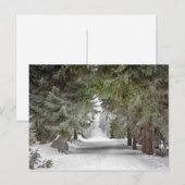 Forest Road Snow Pine Trees Foto Briefkaart (Voorkant / Achterkant)