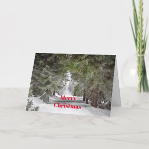 Forest Road Snow Pine Trees Foto Kerstmis Feestdagen Kaart