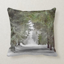 Forest Road Snow Pine Trees Foto