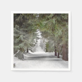 Forest Road Snow Pine Trees Foto Servet
