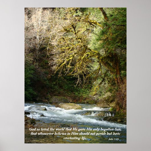 Forest & Rushing River John 3:16 Print (Voorkant)