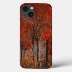 Forest Scene iPad-draagtas iPhone 13 Hoesje