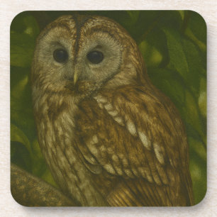 Forest Sentinel - Tawny Owl Wildlife Art Bier Onderzetter