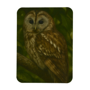 Forest Sentinel - Tawny Owl Wildlife Art Magneet