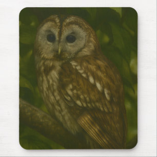 Forest Sentinel - Tawny Owl Wildlife Art Muismat