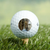 Forest Sneeuwscène tmtp5 gbcnm Golfballen (Insitu Shirt)