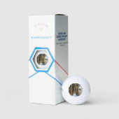 Forest Snow Scene CSS gba Golfballen (Verpakking)