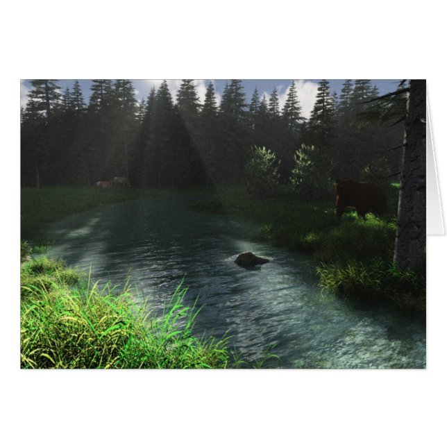 Forest Stream (Voorkant Horizontaal)