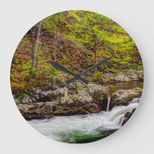 Forest Stream in Great Smoky Mountains Grote Klok