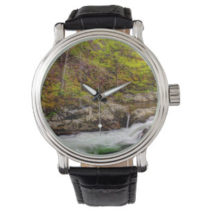 Forest Stream In Great Smoky Mountains Horloge