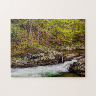 Forest Stream in Great Smoky Mountains Legpuzzel