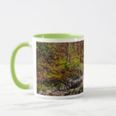 Forest Stream in Great Smoky Mountains Mok (Links)